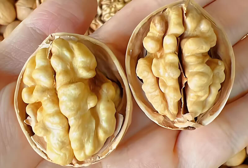 185-paper-shell-walnuts