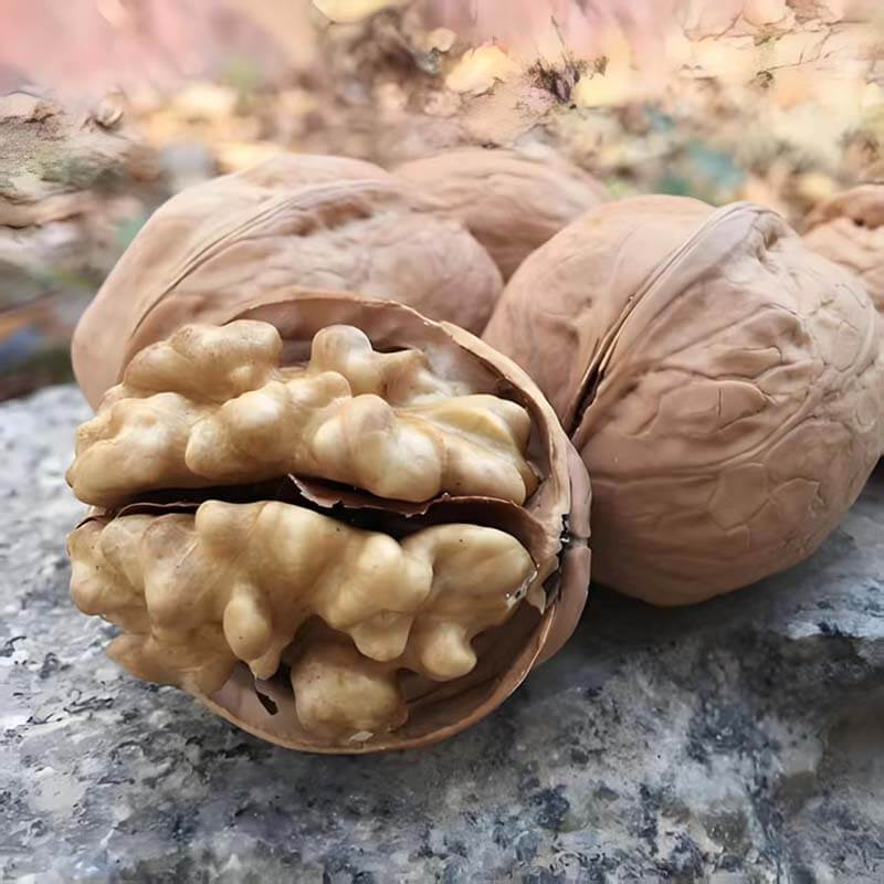 "185" paper-shell walnuts